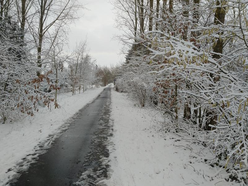 De asfalten fietswegel is een zwarte streep door een anders wit landschap. Witte wolken; witte grond. De takken van de bomen zijn bedekt met een laagje sneeuw van 5cm