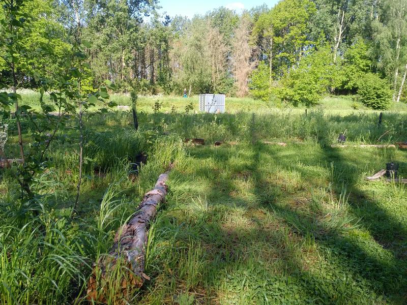 Groen landschap. Links de houtkant die opkomt en in de verte de metalen container die opgaat in het groen